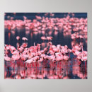 Pesquisar por flock pôsteres Flamingo