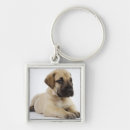 Pesquisar por great chaveiros Animais