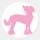 Pesquisar por credo adesivos Cão