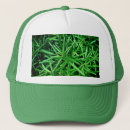 Pesquisar por planta bones Natureza