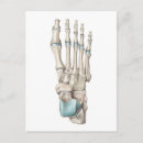 Pesquisar por ossos do pé cartoes postais Anatomia