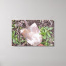 Pesquisar por erva daninha impressão de canvas Fotografia
