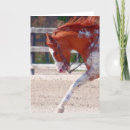 Pesquisar por pinto horse cartoes Cavalo