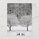 Pesquisar por coberto de neve cartoes postais Floresta