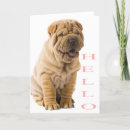 Pesquisar por shar pei vertical cartoes Cachorros