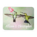Pesquisar por do colibri imas Natureza