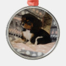 Pesquisar por premium ornamentos Cavaleiro