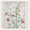 Pesquisar por curativo adesivos Testard