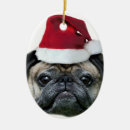 Pesquisar por pug natal ornamentos Animal