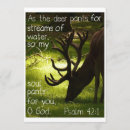 Pesquisar por salmos convites Jesus