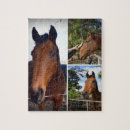 Pesquisar por foto do cavalo quebra cabecas Cavalos