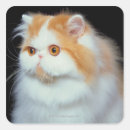 Pesquisar por gato bonito adesivos Animal