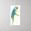 Pesquisar por pássaros tropicais impressão de canvas Tropical