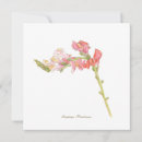 Pesquisar por ilustração botânica cartoes Rosa