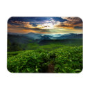 Pesquisar por plantação imas Paisagem