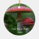 Pesquisar por fungos ornamentos Toadstool
