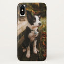Pesquisar por de border collie iphone capas Preto e branco