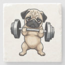 Pesquisar por malhação porta copos Engraçado