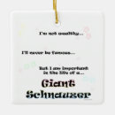 Pesquisar por schnauzer ornamentos Cão