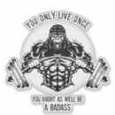 Pesquisar por yolo adesivos Incrível