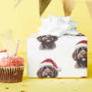 Pesquisar por do labradoodle Dogs