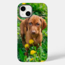Pesquisar por muito pobre iphone capas Cão