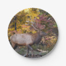 Pesquisar por alces pratos Animais selvagens