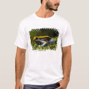 Pesquisar por anura camisetas Rã