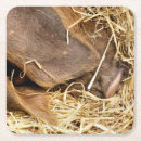 Pesquisar por giz porta copos Porcos