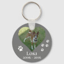 Pesquisar por solidariedade chaveiros Gato