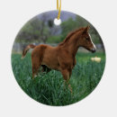 Pesquisar por cavalo árabe ornamentos Estar