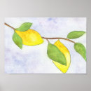Pesquisar por árvore e folhas pósteres pôsteres Aquarela