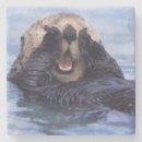 Pesquisar por lontras porta copos Mar