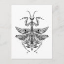 Pesquisar por zendoodle cartoes Dúodle