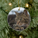 Pesquisar por comprimido ornamentos Felino