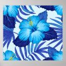 Pesquisar por havaianas pôsteres Azul