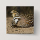 Pesquisar por camuflagem botons Caça