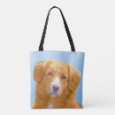 Pesquisar por pato do bolsas Toller