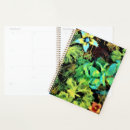 Pesquisar por borboleta agendas Pintura