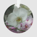 Pesquisar por orquídeas brancas ornamentos Flor
