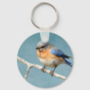 Pesquisar por bluebird chaveiros Animal