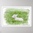 Pesquisar por photographic Print