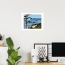 Pesquisar por fotografia da paisagem pôsteres Cenas
