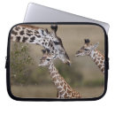 Pesquisar por do safari laptop sleeves Viagem