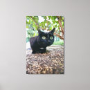 Pesquisar por assento impressão de canvas Animais domésticos