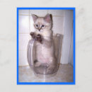 Pesquisar por vet cartoes postais Gato