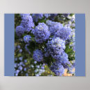 Pesquisar por wild pôsteres Nature