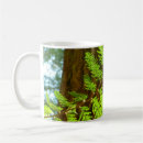 Pesquisar por principal canecas Natureza