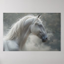 Pesquisar por andaluz fotografia Branco