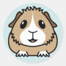 Pesquisar por guincho adesivos Cárie